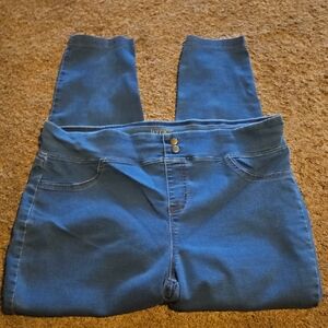Terra & Sky Women's Denim Jeggings Size 16/18